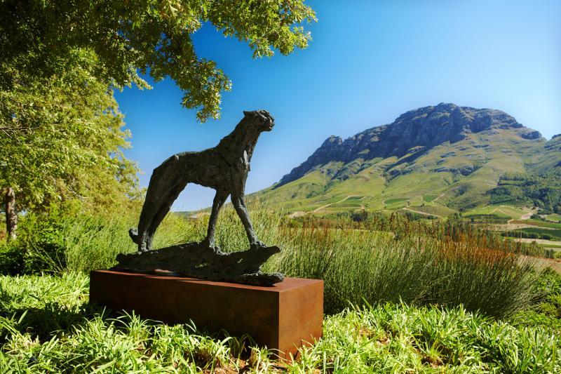 Delaire Graff Lodges And Spa Stellenbosch Bagian luar foto