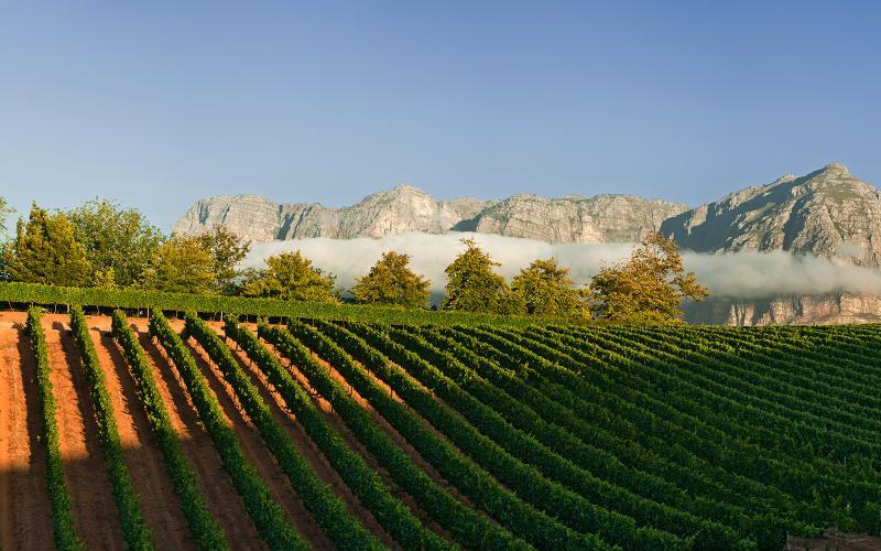 Delaire Graff Lodges And Spa Stellenbosch Bagian luar foto